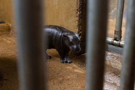 tagreuters.com2024binary_LYNXNPEK2J07B-VIEWIMAGE