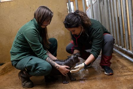 tagreuters.com2024binary_LYNXNPEK2J07E-VIEWIMAGE