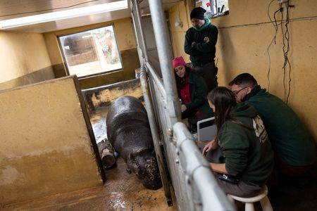 tagreuters.com2024binary_LYNXNPEK2J07H-VIEWIMAGE