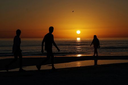 tagreuters.com2024binary_LYNXNPEK2J0BL-VIEWIMAGE