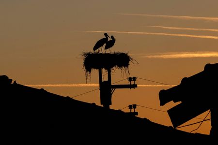 tagreuters.com2024binary_LYNXNPEK390D5-VIEWIMAGE