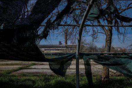 tagreuters.com2024binary_LYNXNPEK390D6-VIEWIMAGE