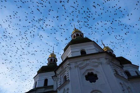 tagreuters.com2024binary_LYNXNPEK3A0AK-VIEWIMAGE