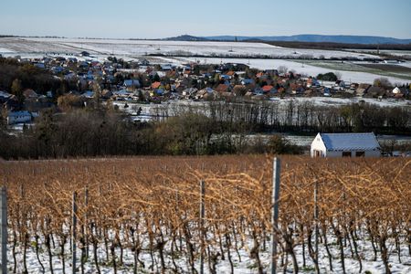 tagreuters.com2024binary_LYNXNPEKB506I-VIEWIMAGE