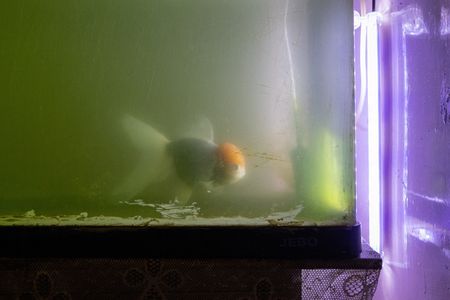 tagreuters.com2025binary_LYNXMPEL050V6-VIEWIMAGE