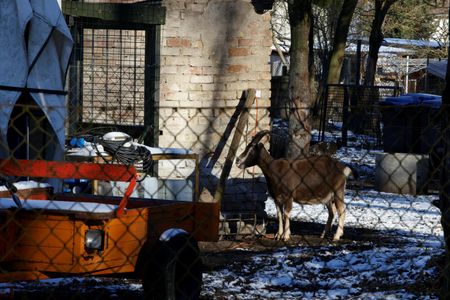 tagreuters.com2025binary_LYNXMPEL0C0G0-VIEWIMAGE