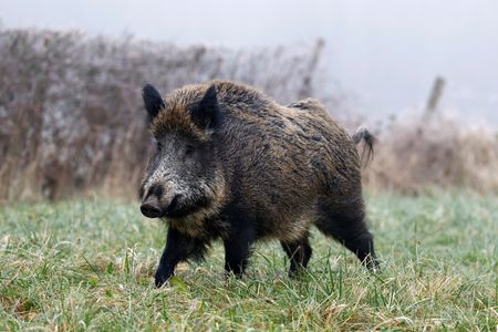 tagreuters.com2025binary_LYNXMPEL0F0BT-VIEWIMAGE