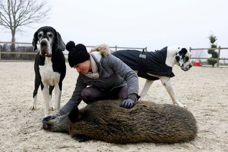 tagreuters.com2025binary_LYNXMPEL0F0BW-VIEWIMAGE