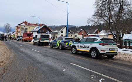 tagreuters.com2025binary_LYNXMPEL0F0PA-VIEWIMAGE