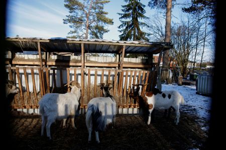 tagreuters.com2025binary_LYNXMPEL0G0GV-VIEWIMAGE