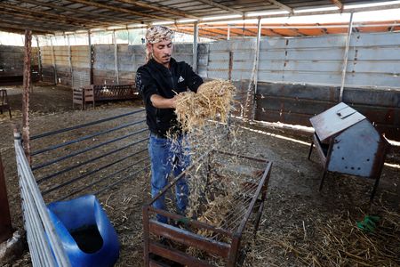 tagreuters.com2025binary_LYNXMPEL2A0OO-VIEWIMAGE