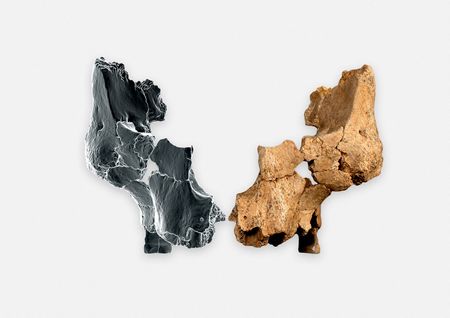 tagreuters.com2025binary_LYNXMPEL2B0QV-VIEWIMAGE