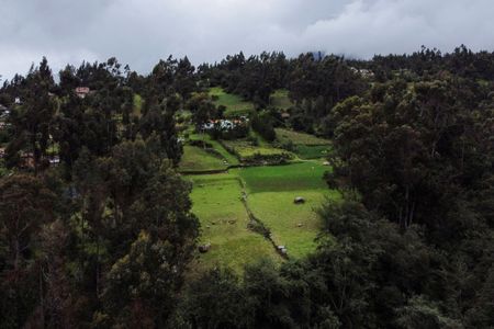 tagreuters.com2025binary_LYNXMPEL2E053-VIEWIMAGE