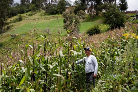 tagreuters.com2025binary_LYNXMPEL2E057-VIEWIMAGE