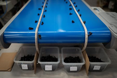 tagreuters.com2025binary_LYNXMPEL4F07B-VIEWIMAGE