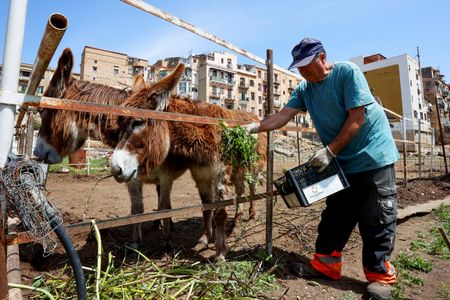 tagreuters.com2025binary_LYNXMPEL4G03Q-VIEWIMAGE