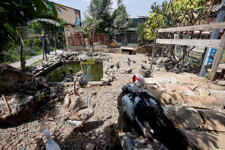 tagreuters.com2025binary_LYNXMPEL4G03S-VIEWIMAGE