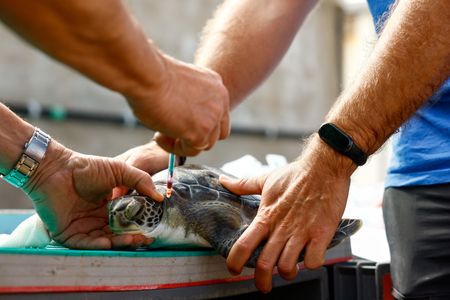 tagreuters.com2025binary_LYNXMPEL4M0N2-VIEWIMAGE