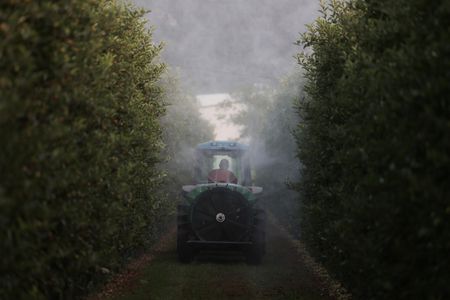 tagreuters.com2025binary_LYNXMPEL6908S-VIEWIMAGE