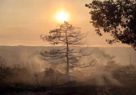 tagreuters.com2025binary_LYNXMPEL6N07J-VIEWIMAGE