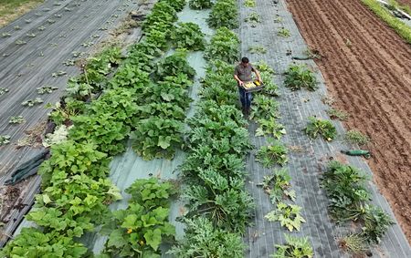 tagreuters.com2025binary_LYNXMPEL6O0SK-VIEWIMAGE