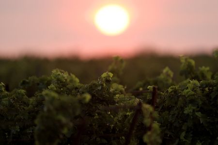 tagreuters.com2025binary_LYNXMPEL760VD-VIEWIMAGE