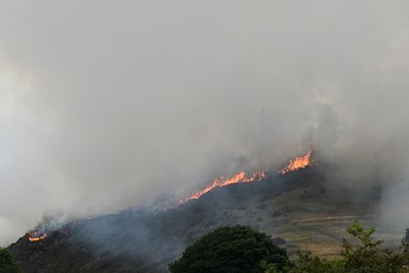 tagreuters.com2025binary_LYNXMPEL7905N-VIEWIMAGE