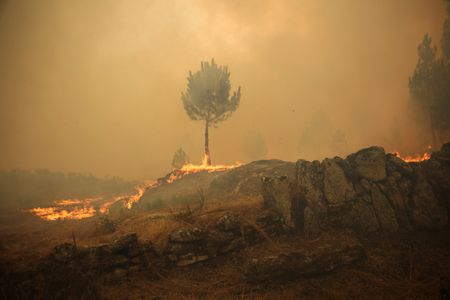 tagreuters.com2025binary_LYNXMPEL7B0VJ-VIEWIMAGE