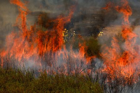 tagreuters.com2025binary_LYNXMPEL7D0BO-VIEWIMAGE