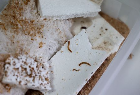 tagreuters.com2025binary_LYNXMPEL7J0CT-VIEWIMAGE