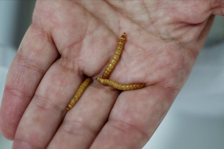 tagreuters.com2025binary_LYNXMPEL7J0CV-VIEWIMAGE