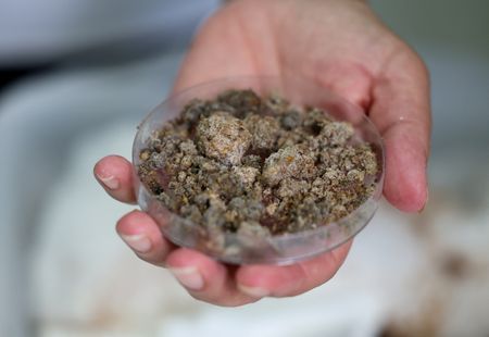 tagreuters.com2025binary_LYNXMPEL7J0CW-VIEWIMAGE