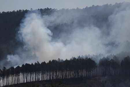 tagreuters.com2025binary_LYNXMPEL7K0RT-VIEWIMAGE