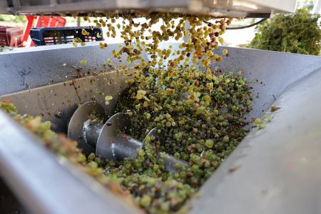 tagreuters.com2025binary_LYNXMPEL7Q0BR-VIEWIMAGE