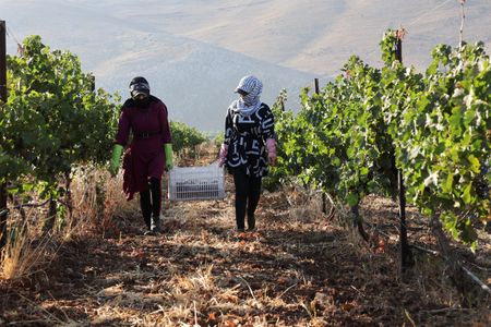 tagreuters.com2025binary_LYNXMPEL7Q0BT-VIEWIMAGE