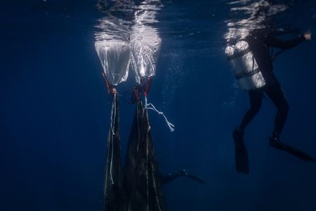 tagreuters.com2025binary_LYNXMPEL9M0GX-VIEWIMAGE