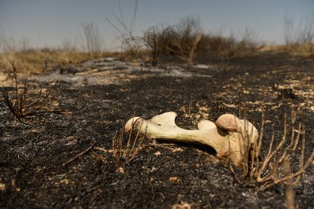 tagreuters.com2025binary_LYNXMPEL9N0QK-VIEWIMAGE