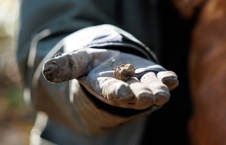 tagreuters.com2025binary_LYNXMPELAC0EW-VIEWIMAGE