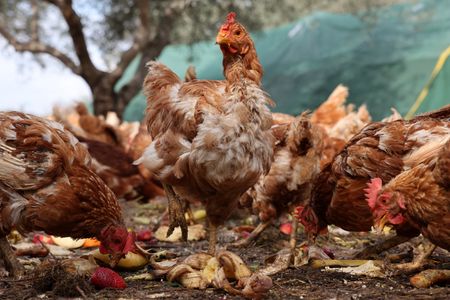 tagreuters.com2025binary_LYNXNPEL1N083-VIEWIMAGE