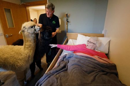 tagreuters.com2025binary_LYNXNPEL2P0AK-VIEWIMAGE