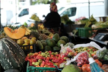 tagreuters.com2025binary_LYNXNPEL2T021-VIEWIMAGE