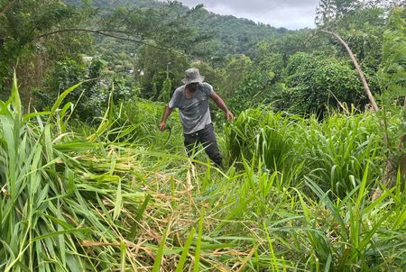 tagreuters.com2025binary_LYNXNPEL2T022-VIEWIMAGE