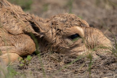 tagreuters.com2025binary_LYNXNPEL520K2-VIEWIMAGE