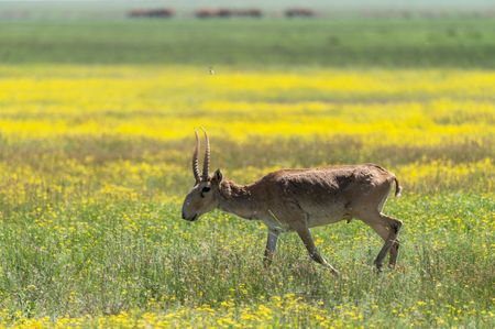 tagreuters.com2025binary_LYNXNPEL520K5-VIEWIMAGE