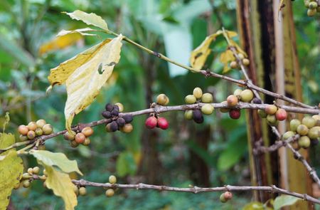 tagreuters.com2025binary_LYNXNPEL8E07Z-VIEWIMAGE