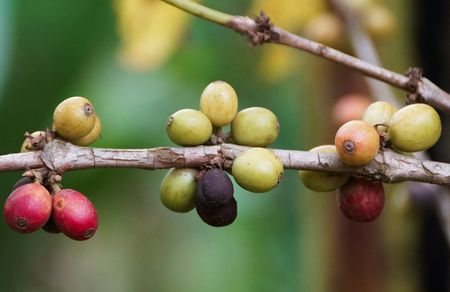 tagreuters.com2025binary_LYNXNPEL8E083-VIEWIMAGE