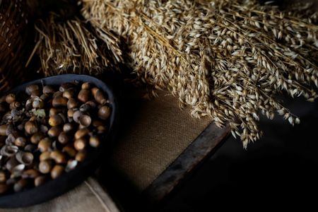 tagreuters.com2025binary_LYNXNPEL8T08X-VIEWIMAGE