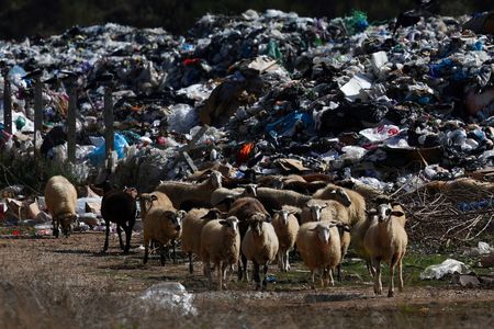 tagreuters.com2025binary_LYNXNPEL970CA-VIEWIMAGE