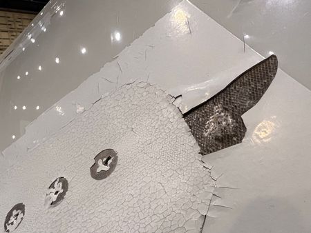 tagreuters.com2022binary_LYNXMPEI5L04C-VIEWIMAGE