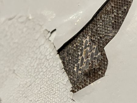 tagreuters.com2022binary_LYNXMPEI5L04F-VIEWIMAGE